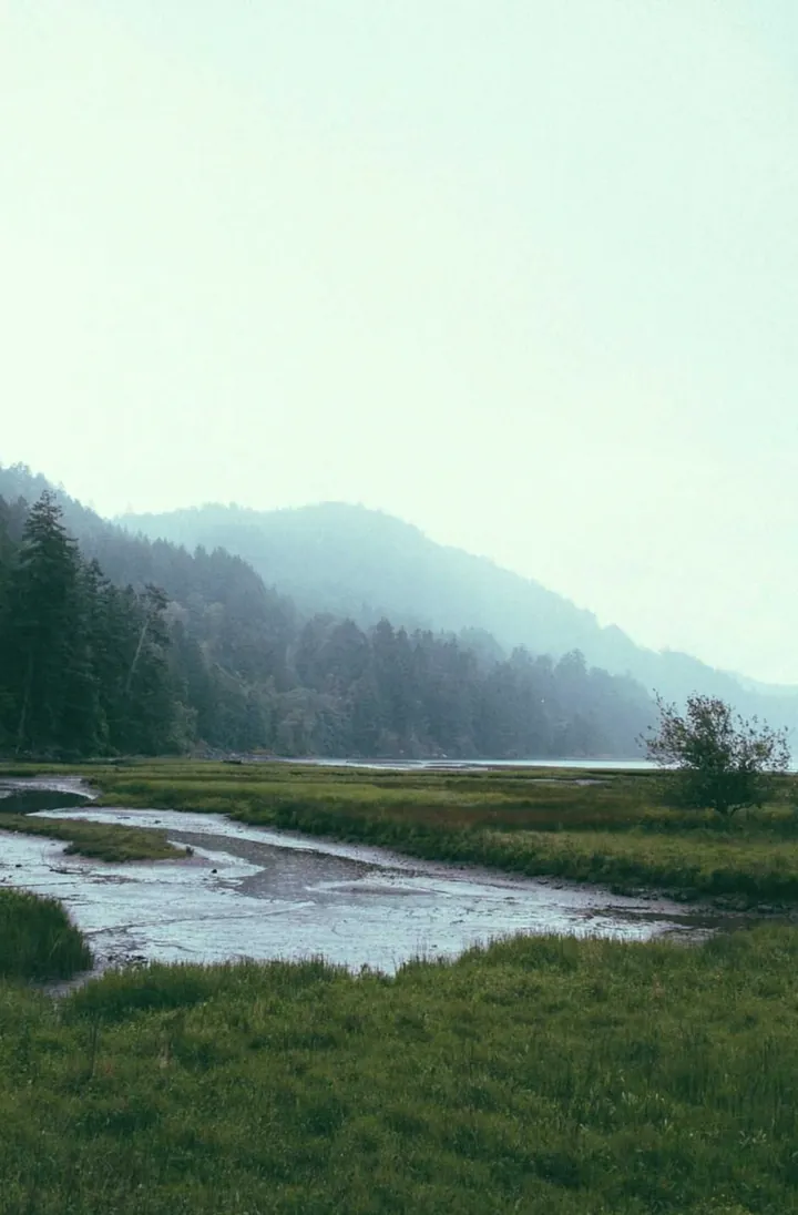 Der Foto-Bildschirmschoner mit einem See im Nebel aus einem Immich-Album